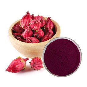 Hibiscus Extract Manufacturer - Food Grade Weight Loss