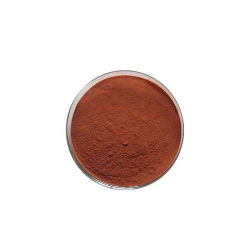 Schisandra Extract Manufacturer - Wu Wei Zi Fruit Halal