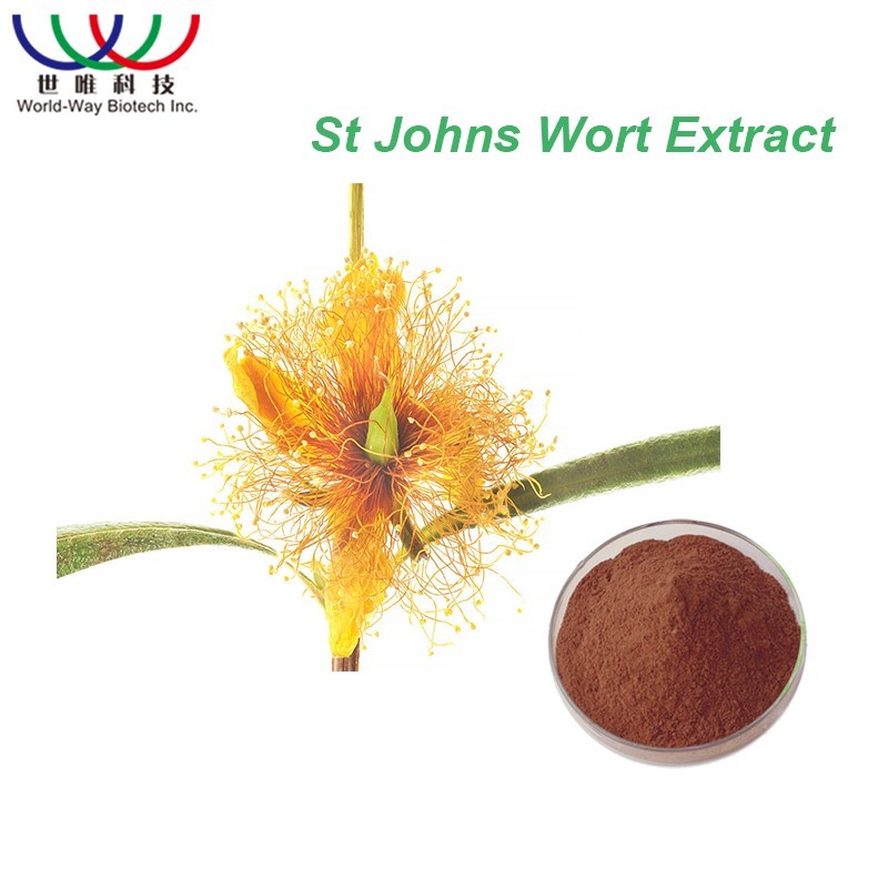St Johns Wort Extract Supplier - 0.3% Hypericin Herbal Powder