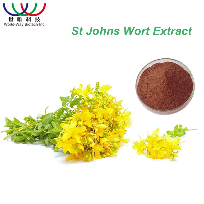 St Johns Wort Extract Supplier - 0.3% Hypericin Water Extract