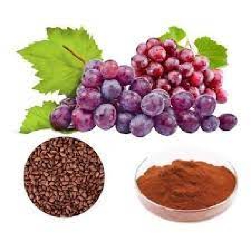 Grape Seed Extract Supplier - 95% OPC Anthocyanin Free Sample