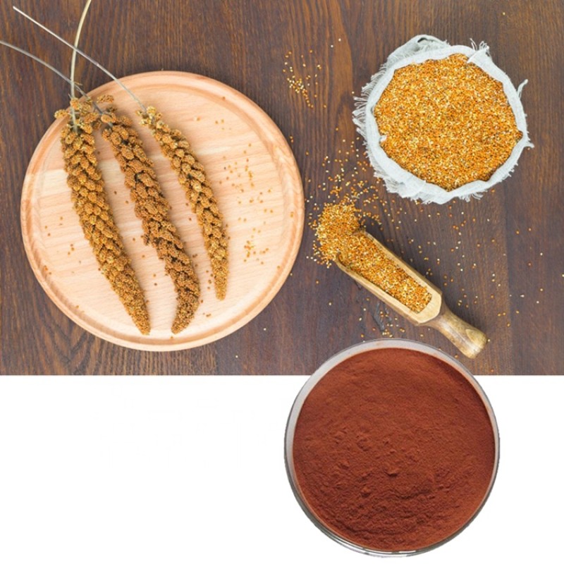 Schisandra Extract Manufacturer - Wu Wei Zi Fruit Halal