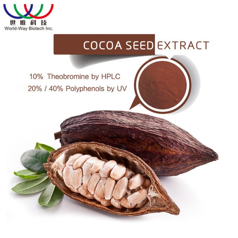 Soybean Extract Manufacturer - 20%-90% Phosphatidylcholine PC