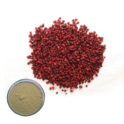 Sorghum Red Extract Supplier - Food Grade Water Based
