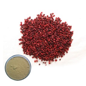 Sorghum Red Extract Supplier - Food Grade Water Based