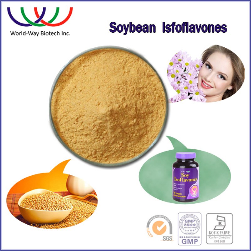 Cocoa Extract Powder Supplier - Theobromine Favorable Price