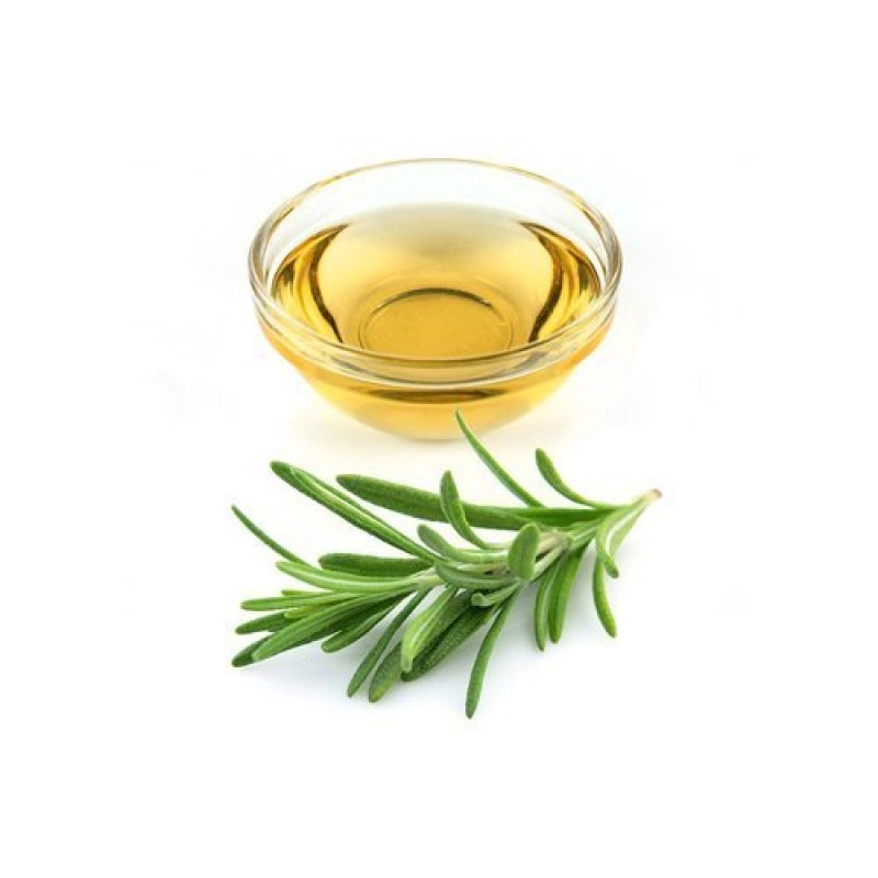 Rosemary Extract Powder Manufacturer - Ursolic Acid HPLC Tested