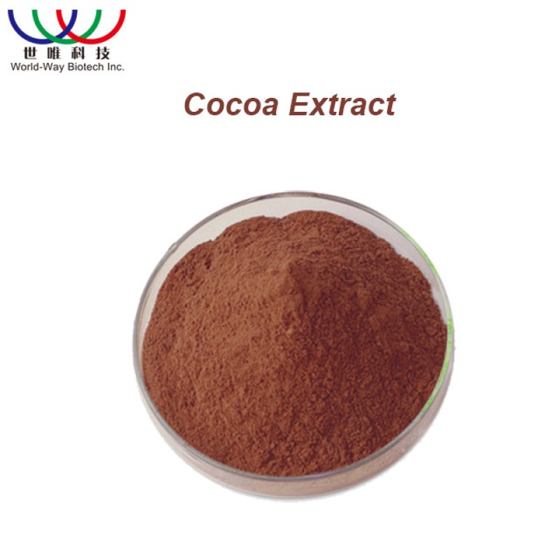 Soybean Extract Manufacturer - 20%-90% Phosphatidylcholine PC
