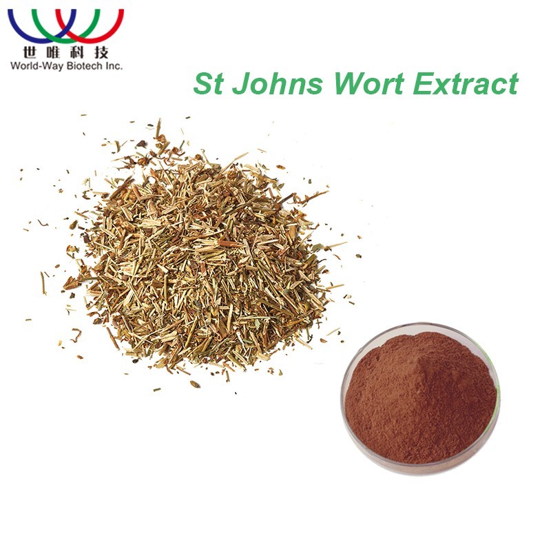 St Johns Wort Extract Supplier - 0.3% Hypericin Herbal Powder