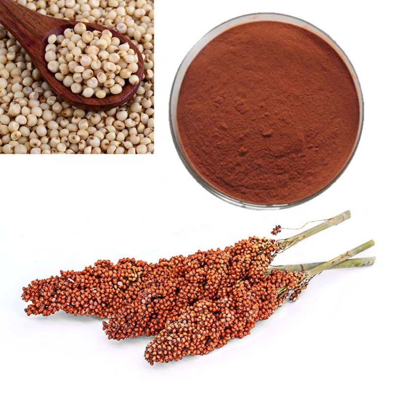 St Johns Wort Extract Supplier - Food Grade Hypericin