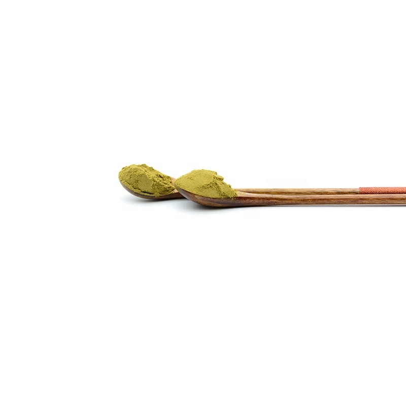 Echinacea Root Extract Manufacturer - Green Powder Herbal