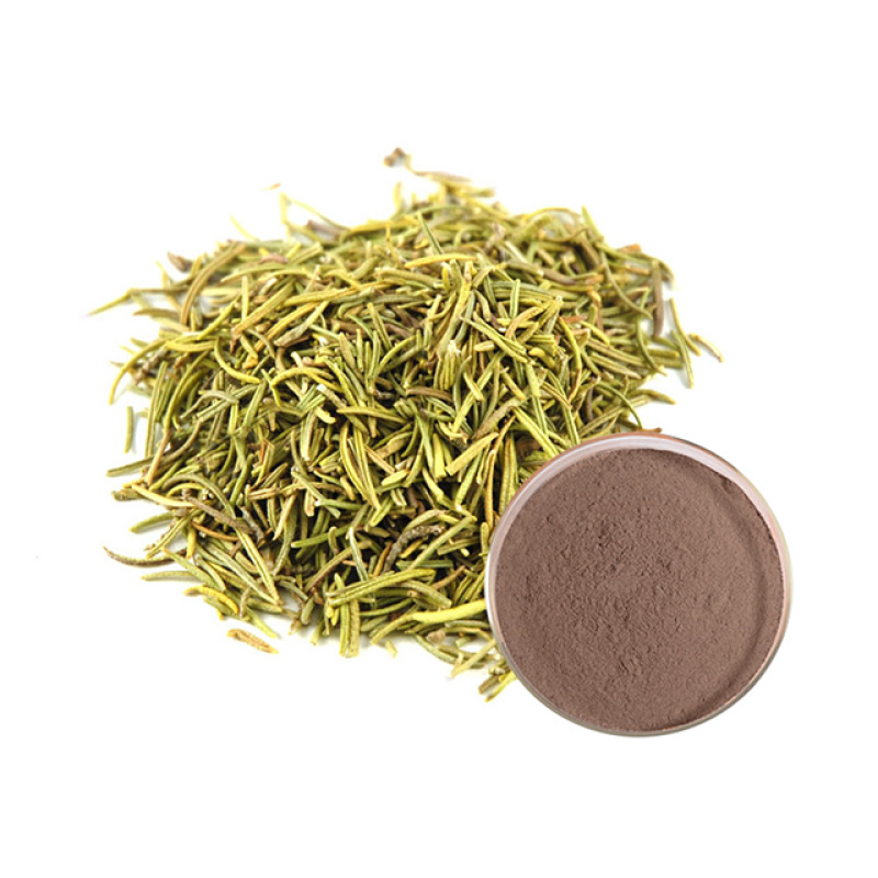 Rosemary Extract Powder Supplier - 25% Carnosic Rosmarinic Acid