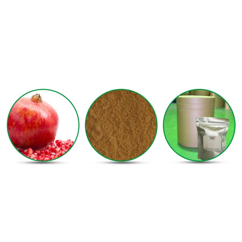 Pomegranate Peel Extract Supplier - 10:1 Powder Factory Supply