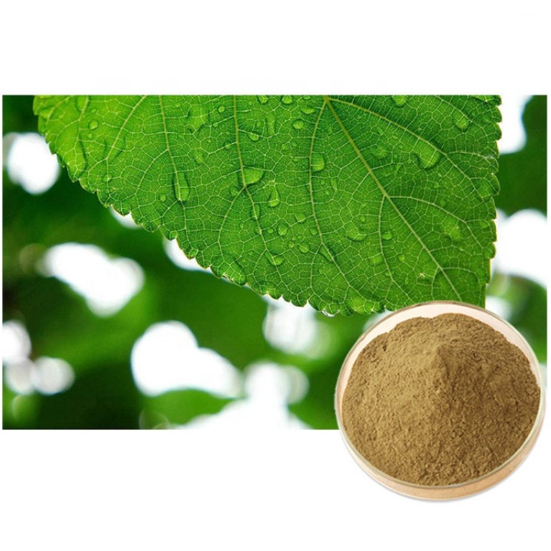 Mulberry Root Extract Factory - Flavones Mulberroside White