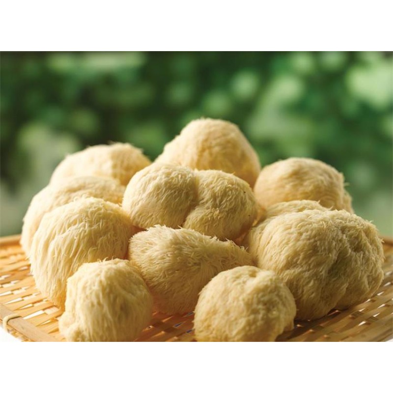 Tabernaemontana Extract Manufacturer - 10:1 20:1 Water Soluble