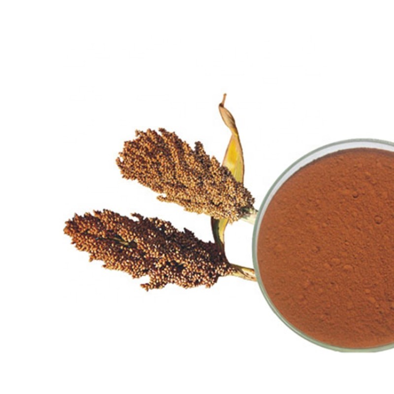 St Johns Wort Extract Supplier - Food Grade Hypericin