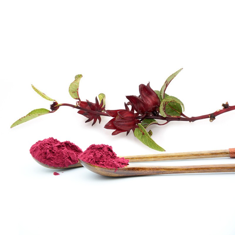 Hibiscus Extract Manufacturer - Hibiscus Sabdariffa Tea