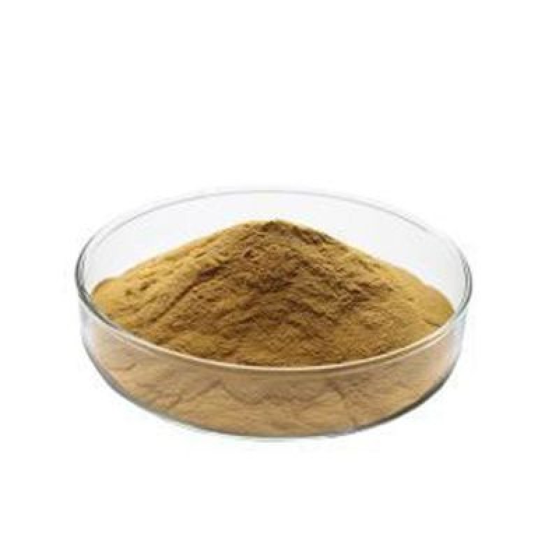 Sage Leaf Extract Manufacturer - 10:1 Salvia Officinalis Powder