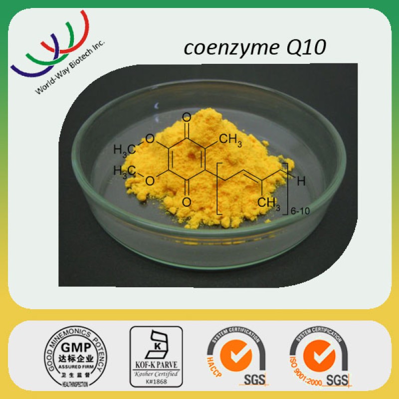 Coenzyme Q10 Supplement Factory - Heart Health Energy Booster