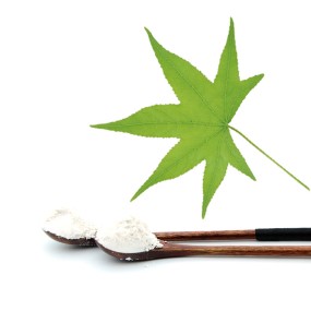 Rubusoside Extract Factory - 70%-95% Sweet Tea 300x