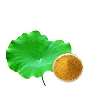 Cocoa Seed Extract Manufacturer - Pharmaceutical Grade Pure