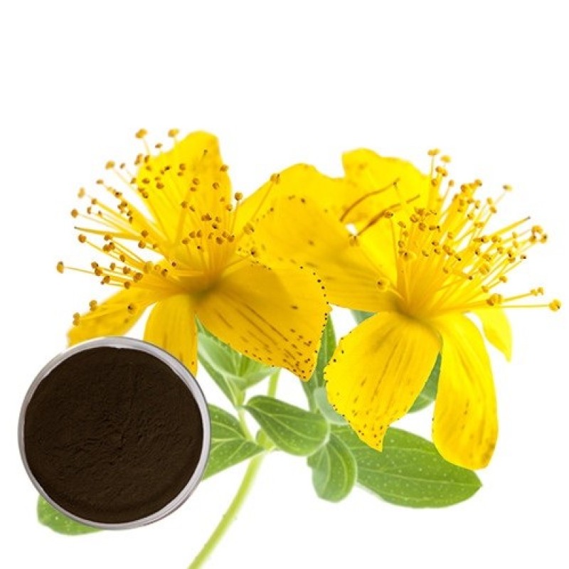 St Johns Wort Extract Supplier - 0.3% Hypericin Herbal Powder