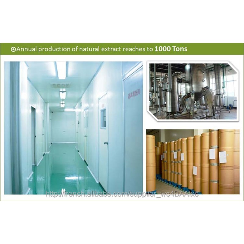 Cocoa Seed Extract Factory - Pure Plant Extract Supplement