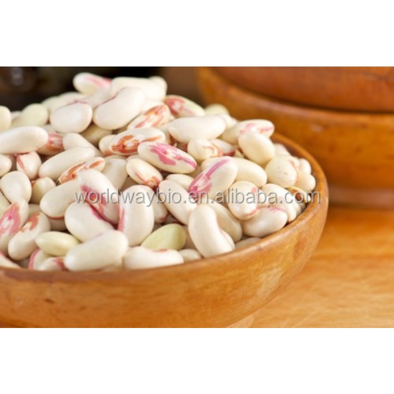 Tongkat Ali Extract Manufacturer - Eurycoma Longifolia Powder