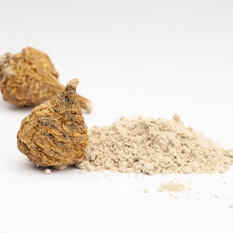 Fenugreek Seed Extract Manufacturer - Spice Powder China