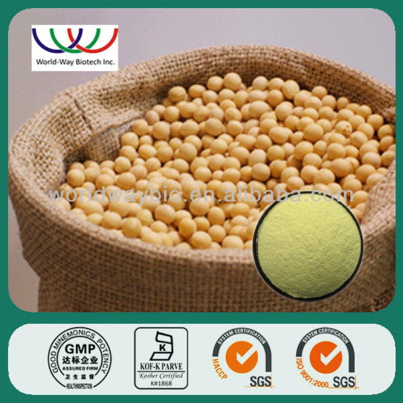 Cocoa Extract Powder Supplier - Theobromine Favorable Price