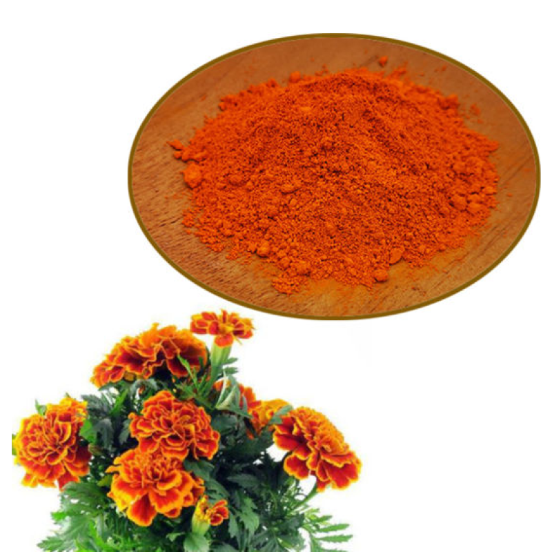 Marigold Extract Factory - 10%-80% Lutein Powder