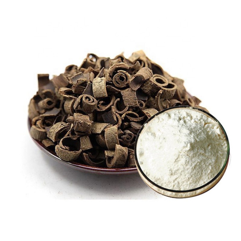 Magnolia Bark Extract Factory - 98% Honokiol Bark Curl