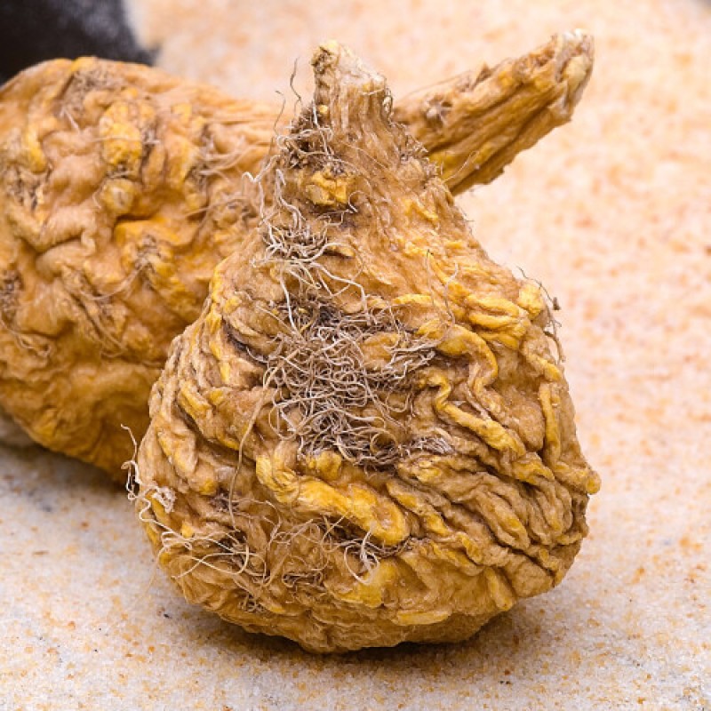 Fenugreek Seed Extract Manufacturer - Spice Powder China