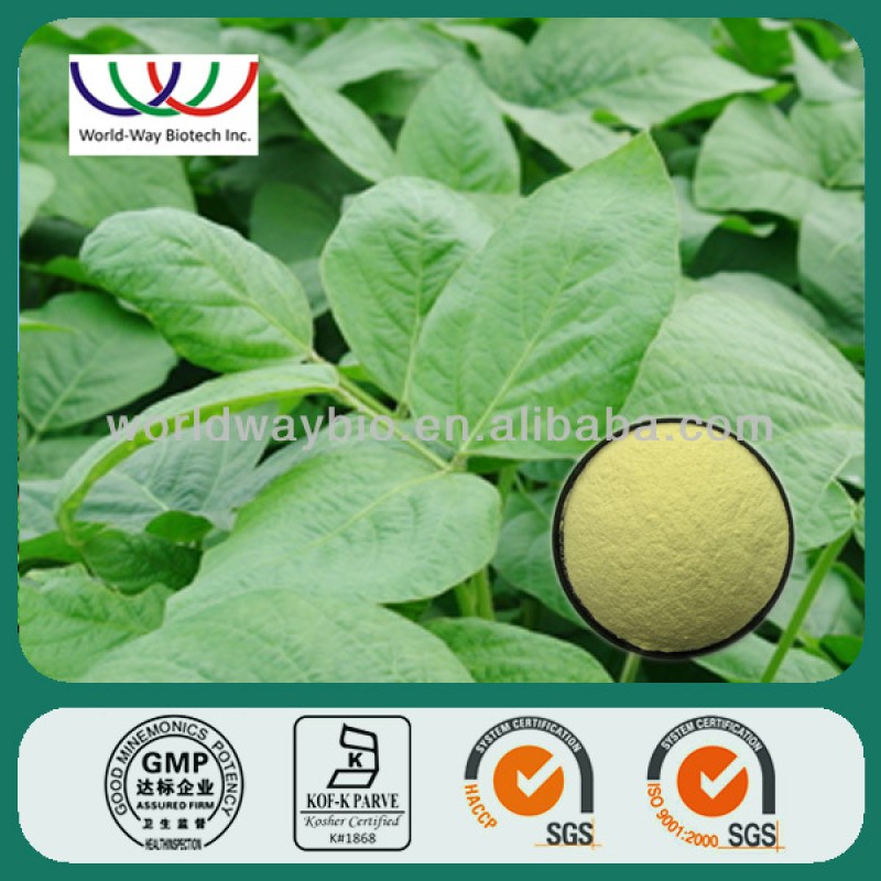 Cocoa Extract Powder Supplier - Theobromine Favorable Price