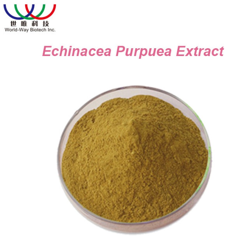 Reishi Spore Extract Manufacturer - Coffee Color Instant