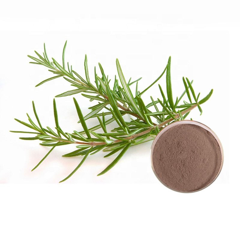 Rosemary Extract Factory - Ursolic Acid Powder Hot Selling