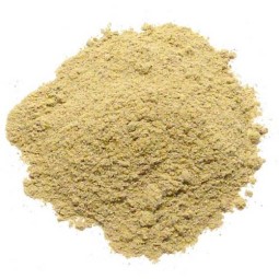 Rosemary Extract Powder Manufacturer - 25% Rosmarinic Acid Bulk