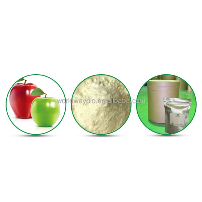 Konjac Gum Powder Manufacturer - High Fiber Dietary Supplement