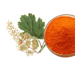 Macleaya Cordata Extract Manufacturer - 95% Chelerythrine HPLC