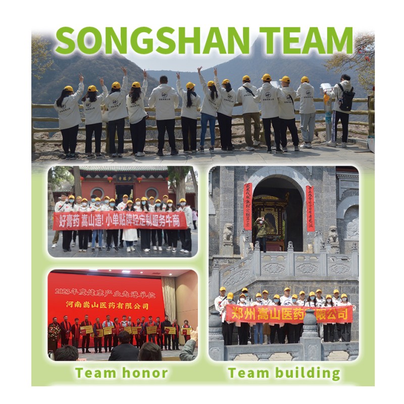 Ear Health Patch Supplier - Hearing Discomfort Plaster