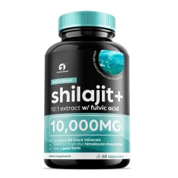 Shilajit Capsules Factory - Himalayan Energy Immune Support