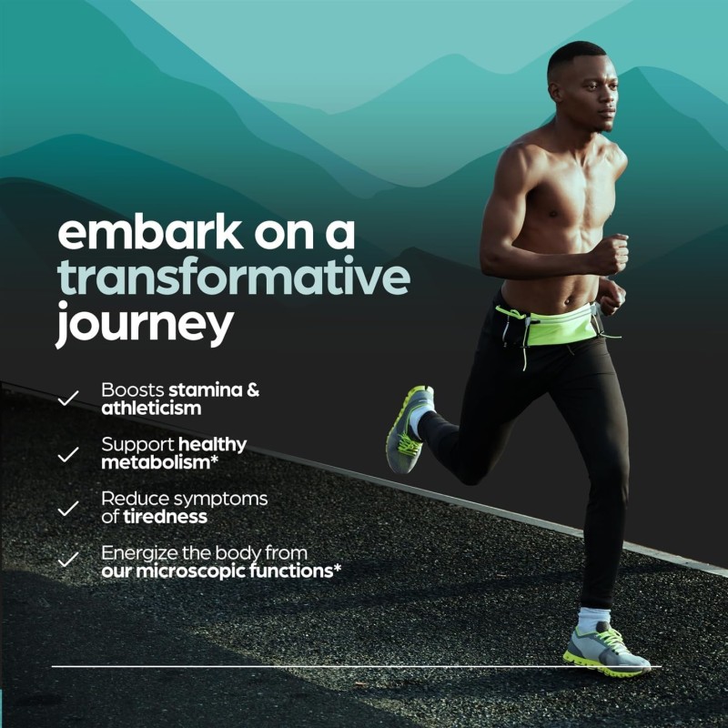 Shilajit Capsules Factory - Himalayan Energy Immune Support