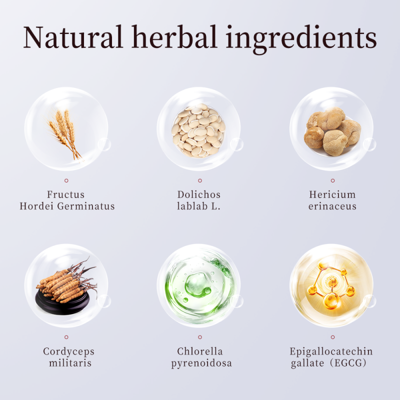 Cough Ointment Supplier - Cordyceps Phlegm Honey Breathing