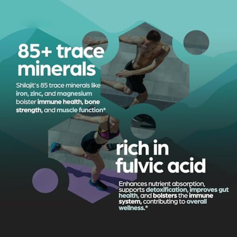 Shilajit Capsules Factory - Himalayan Energy Immune Support