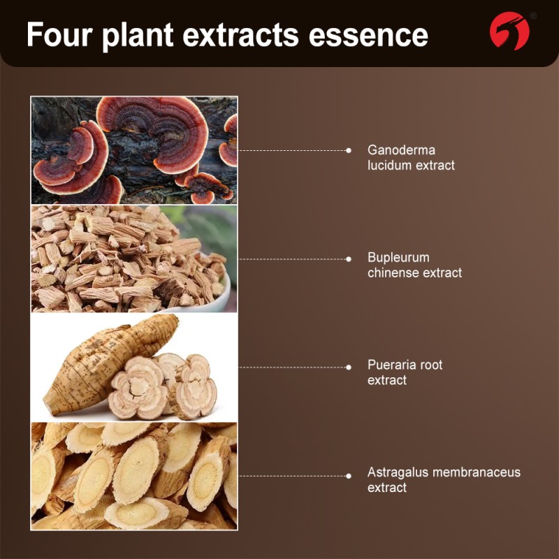 Liver Protection Capsules Manufacturer - Detox Cleanse Fat Reduction