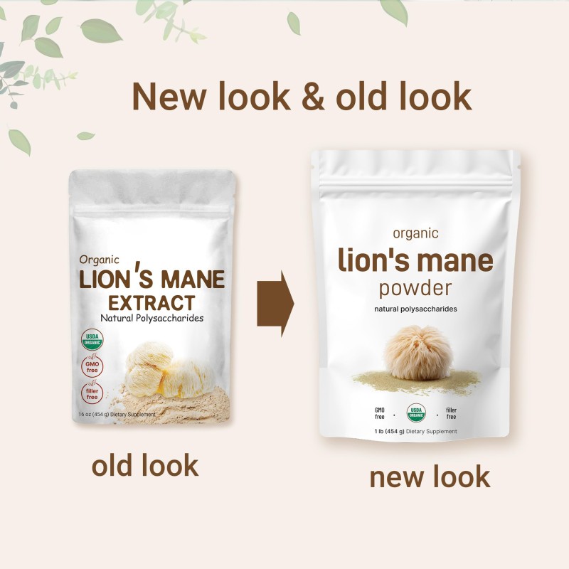 Lions Mane Powder Supplier - 10:1 Mushroom Extract Private Label