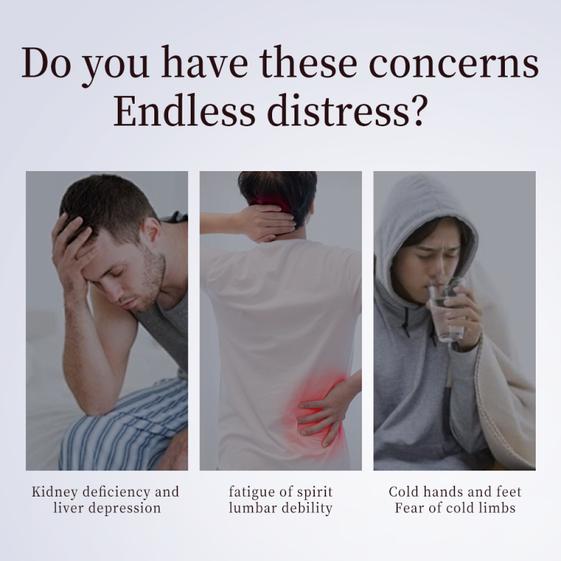 Kidney Health Capsules Supplier - Male Strength Enhancement