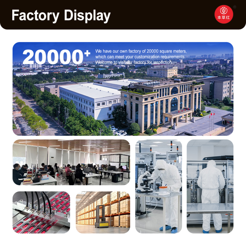 Anti-Aging Capsules Supplier - Qi Blood Kidney Support