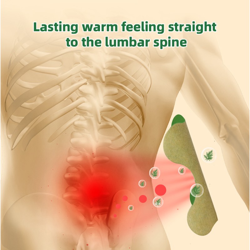 Moxibustion Plaster Supplier - ISO Certified Wormwood Lumbar Spine