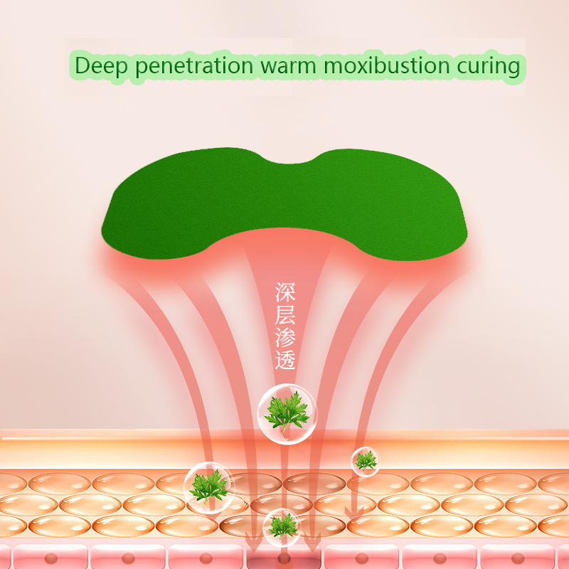 Self-Heating Moxibustion Patch Supplier - Mugwort Knee Back Support